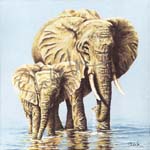 Elephants, Mother & Son